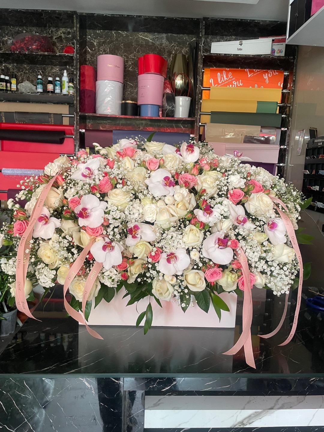 عکس رویال گل