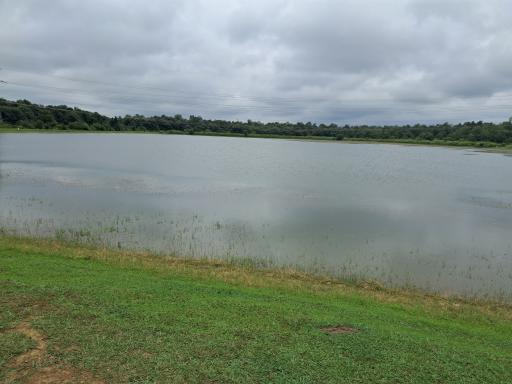 عکس کافه طهرون