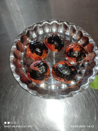 عکس کبابی نوبهار