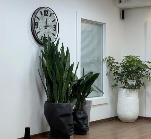 عکس زهرا شریعتی روانشناس