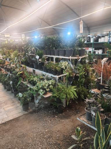 عکس گلخانه ارم