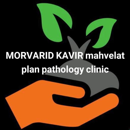 عکس خدمات مهندسی کشاورزی مروارید کویر