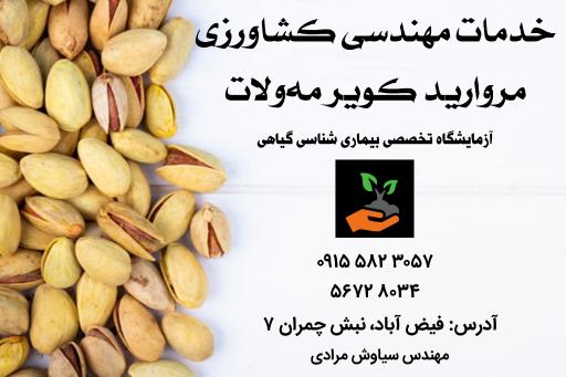 عکس خدمات مهندسی کشاورزی مروارید کویر