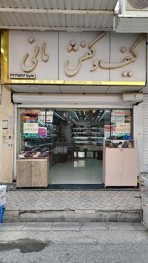 عکس کیف و کفش معتبرنیا(مانی)