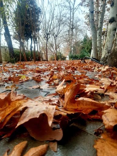 عکس بوستان گلشهر