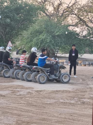 پارس سافاری