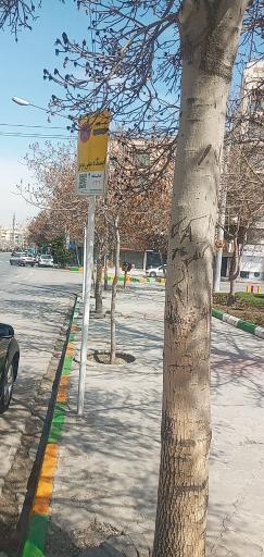 عکس هاشمیه 40