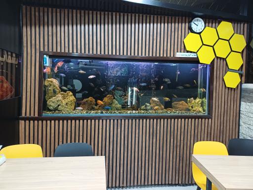 عکس ساندویچ کندو