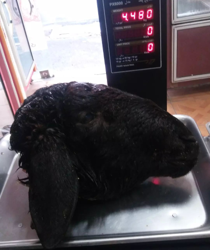 عکس فروشگاه گوشت و مرغ محمودی