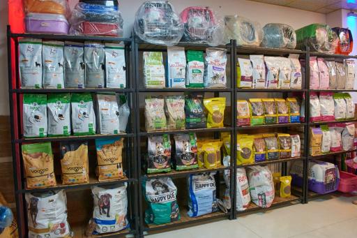 پت شاپ تی پتس