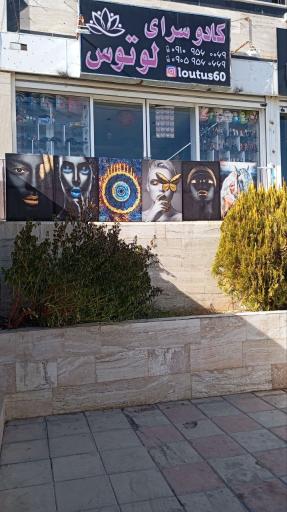 عکس فروشگاه لوتوس تویز 