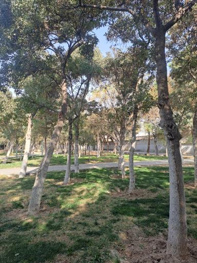 عکس پارک وفا