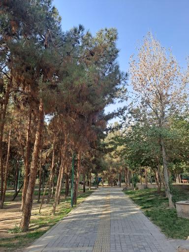 عکس پارک وفا