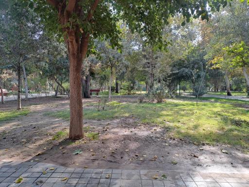 عکس پارک وفا