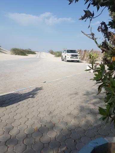 عکس پارس سافاری