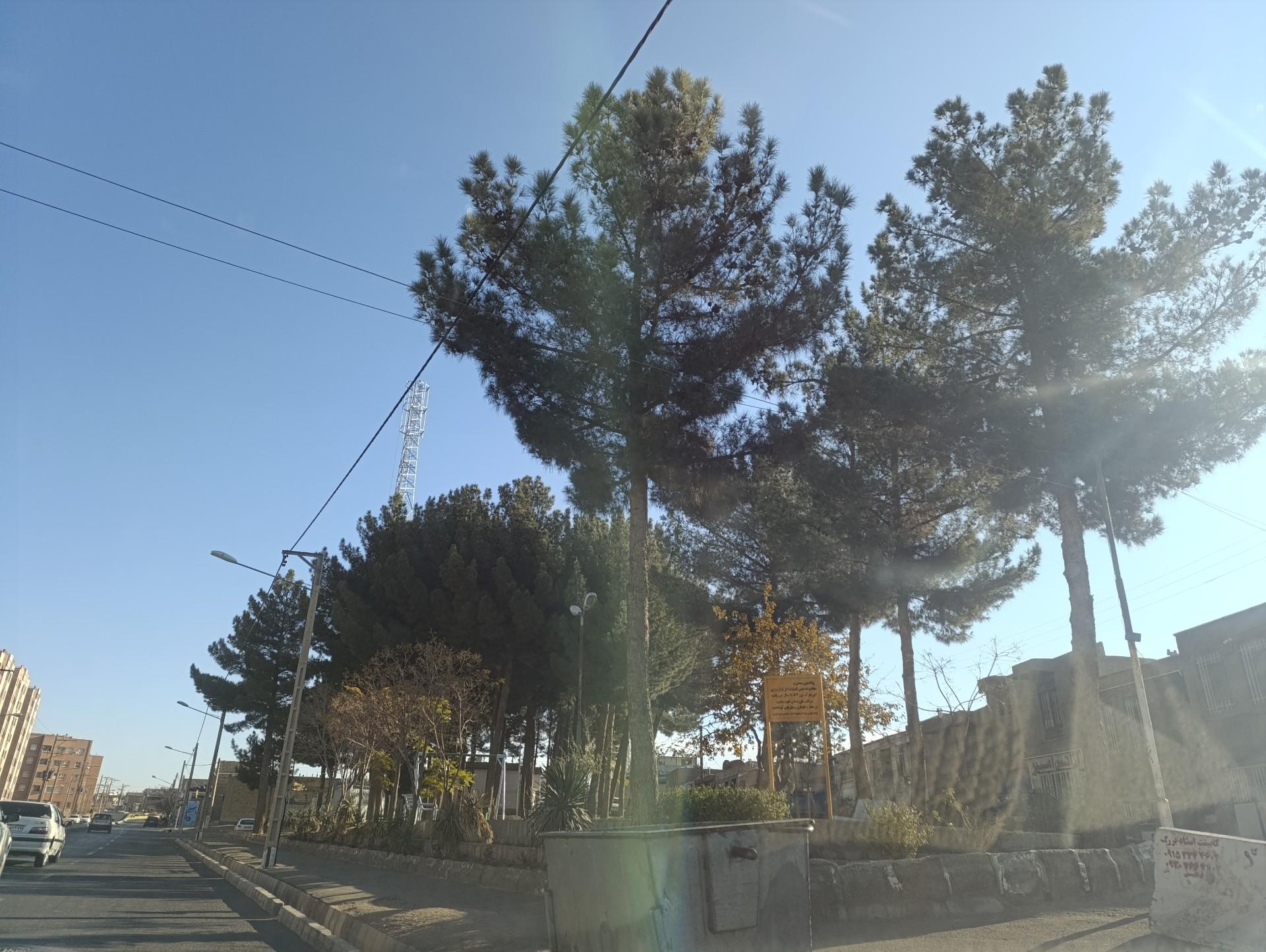 عکس فضای سبز