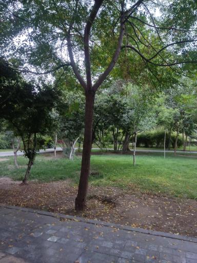 عکس پارک وفا