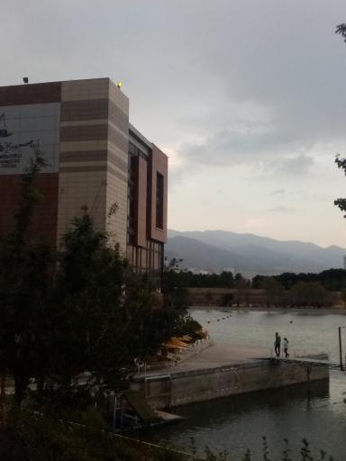 عکس فدراسیون قایقرانی