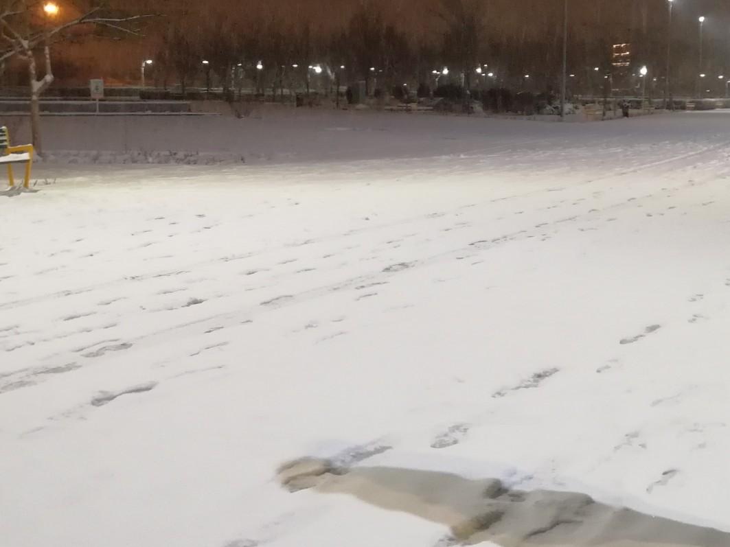 عکس پارک گل های داوودی