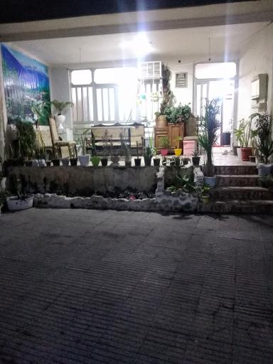 سوییت حمید گل بینی