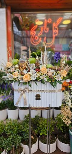 عکس گل نارنج