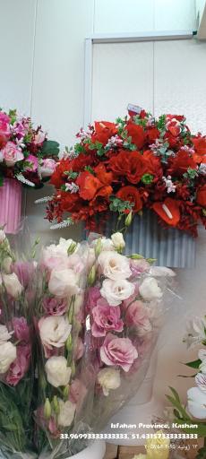 عکس آرین گل