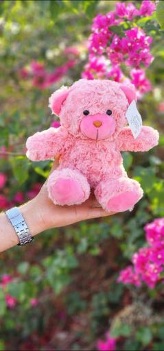 عکس گالری قلب بنفش