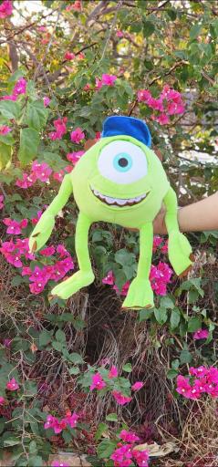 عکس گالری قلب بنفش