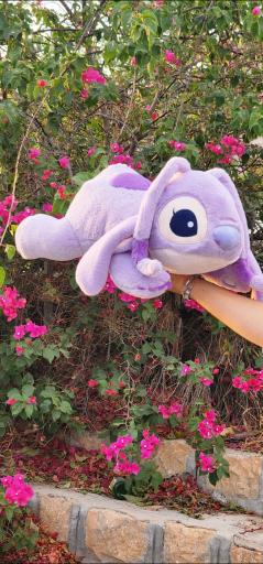 عکس گالری قلب بنفش