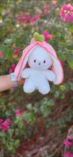 عکس گالری قلب بنفش