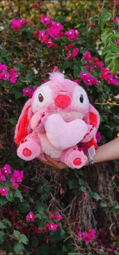 عکس گالری قلب بنفش