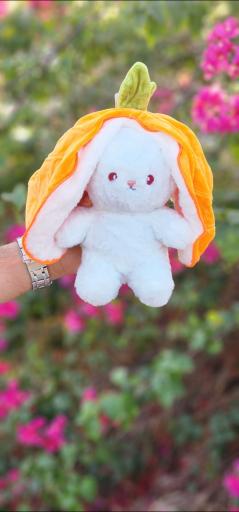 عکس گالری قلب بنفش