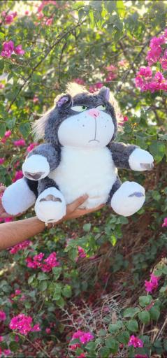 عکس گالری قلب بنفش