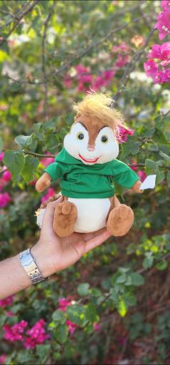 عکس گالری قلب بنفش