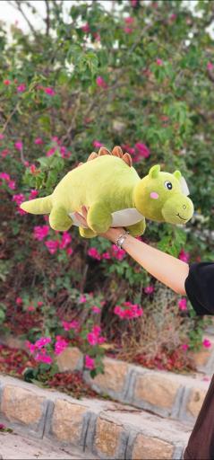 عکس گالری قلب بنفش