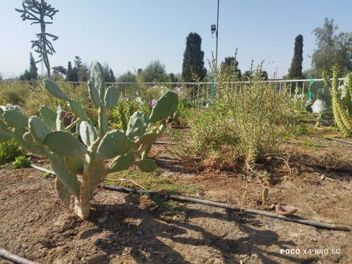 عکس بوستان بزرگ آزادشهر