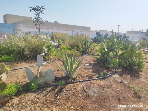 عکس بوستان بزرگ آزادشهر