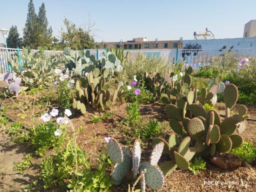 عکس بوستان بزرگ آزادشهر