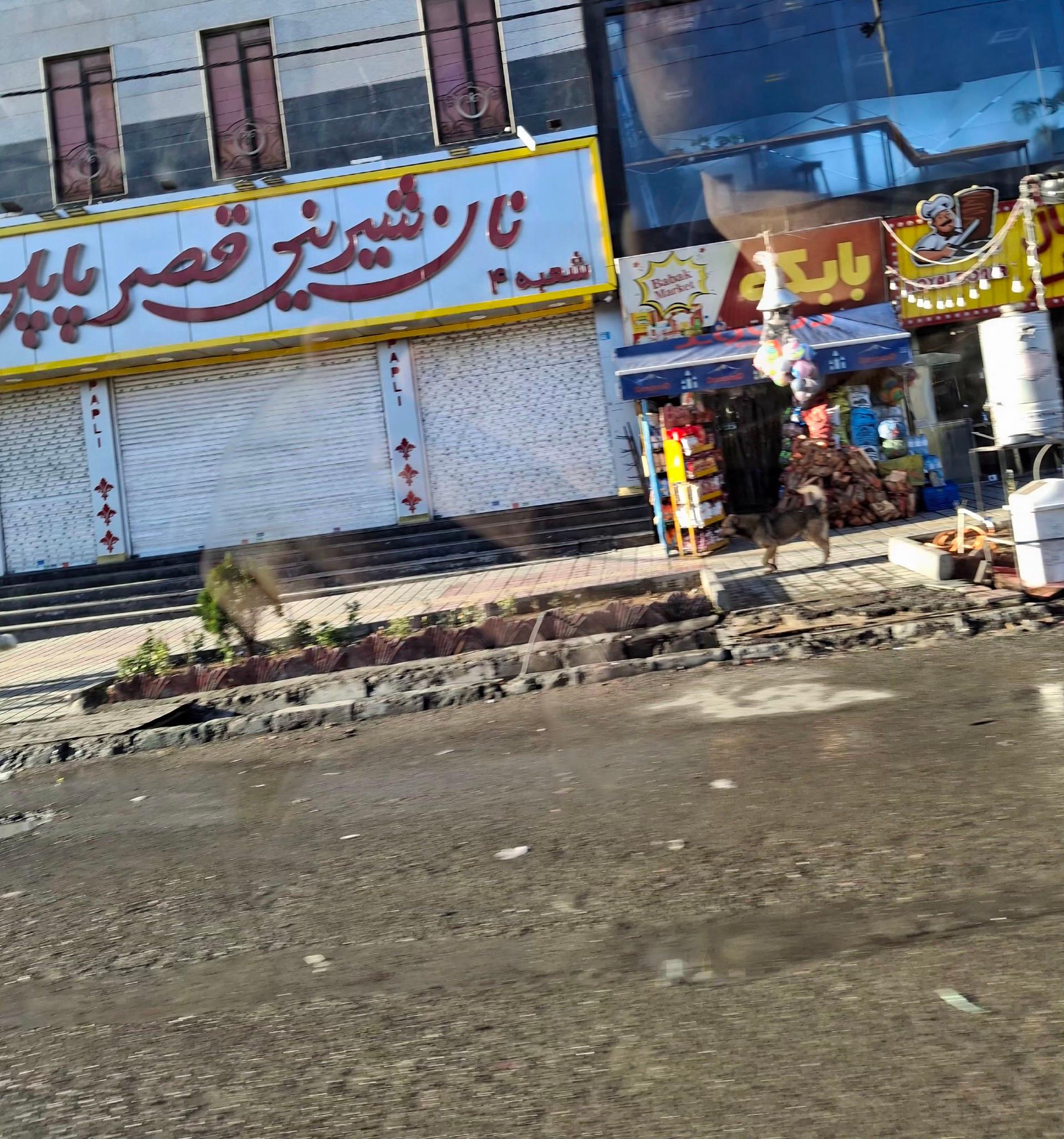 عکس بابک مارکت
