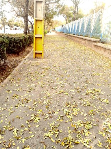 عکس شهرک شهید بهشتی خانه های ماشین سازی