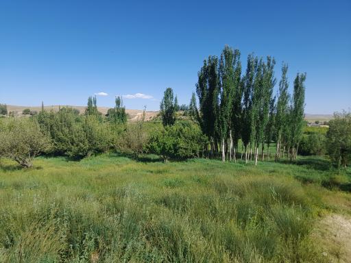علی آباددهکرد