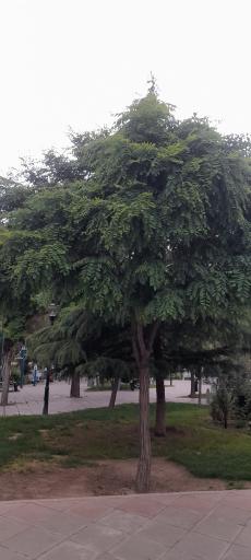 بوستان ایثارگران