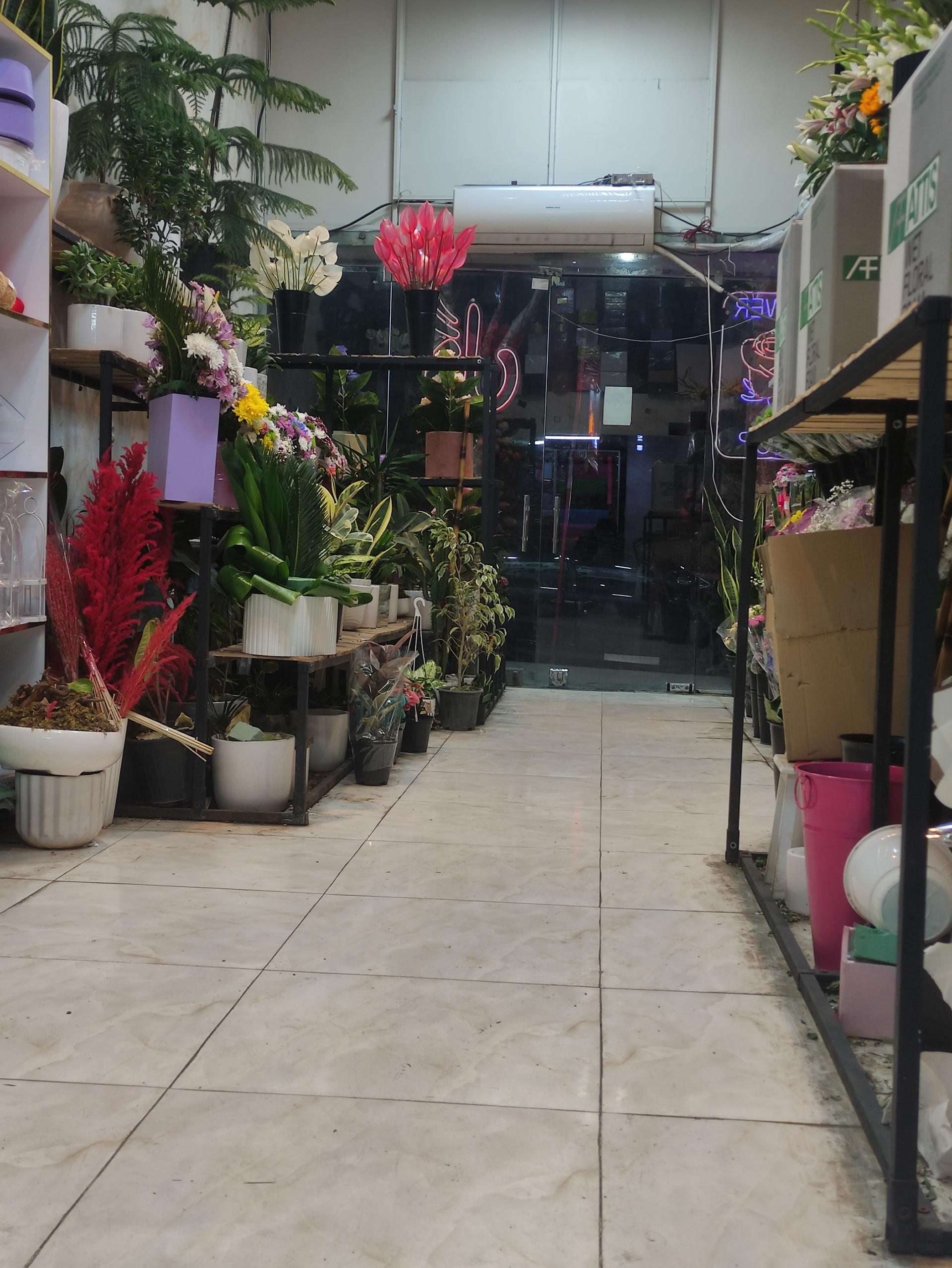 عکس گالری گُل اُرکیده