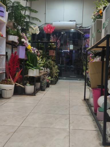 گالری گُل اُرکیده