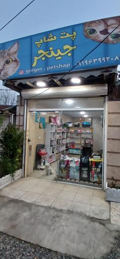 عکس پت شاپ جینجر