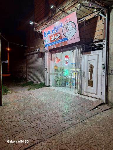 عکس سوپرمرغ جواد
