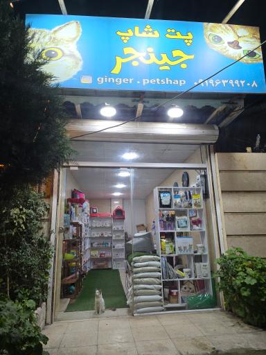 عکس پت شاپ جینجر