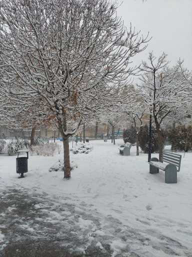 بوستان ایثارگران