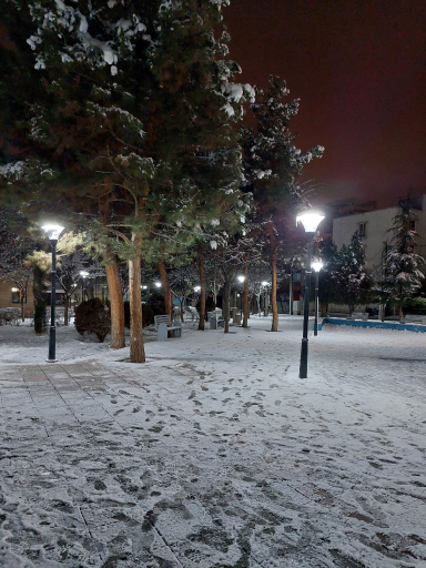 بوستان ایثارگران