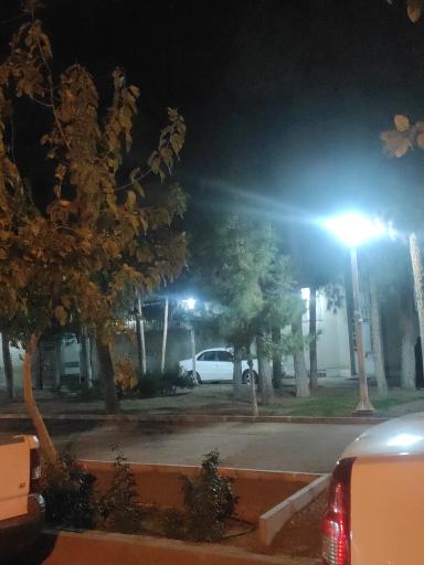 عکس بوستان حایری